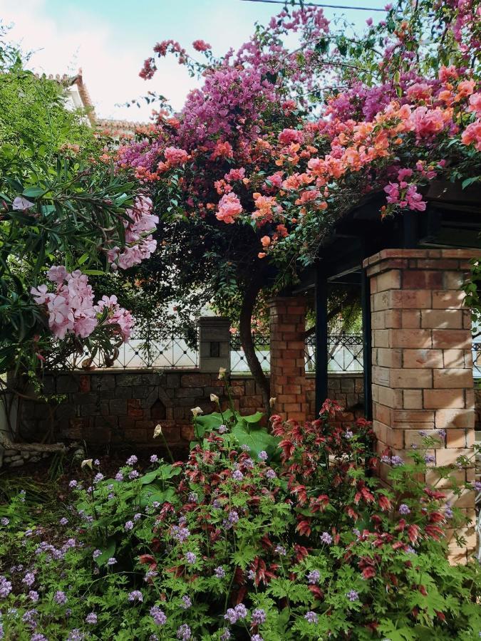 Veneto'S Garden Daire Kardamyli Dış mekan fotoğraf